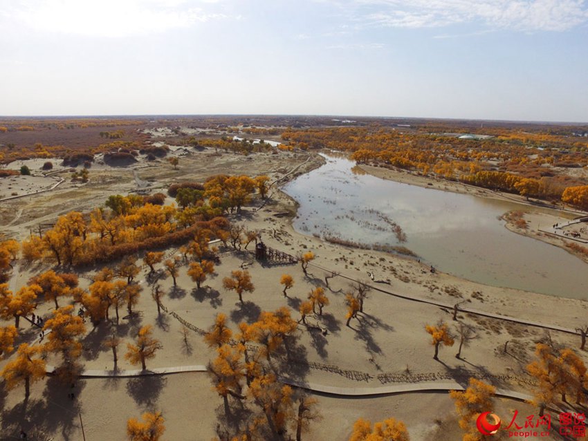 ‘????’ ? ??? ??? ??? ???? ?