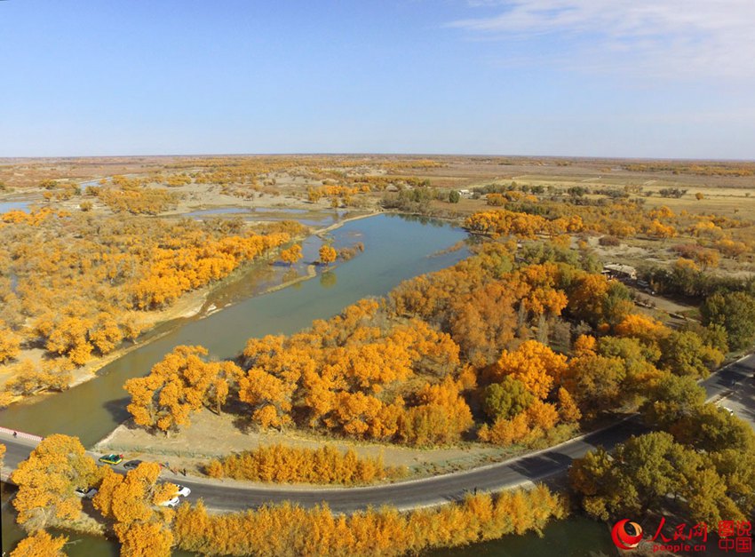 ‘????’ ? ??? ??? ??? ???? ?