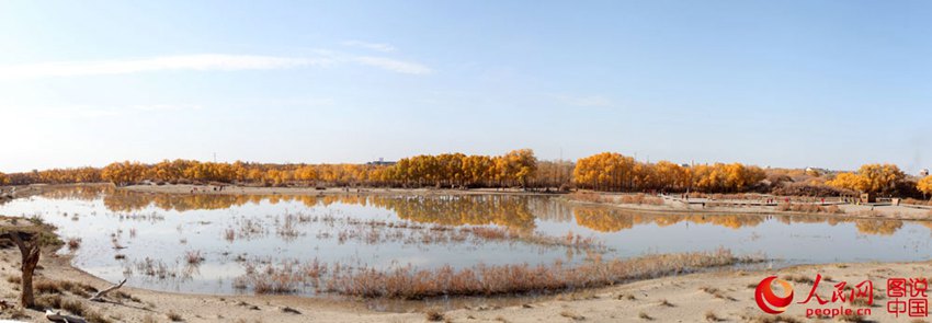 ‘????’ ? ??? ??? ??? ???? ?