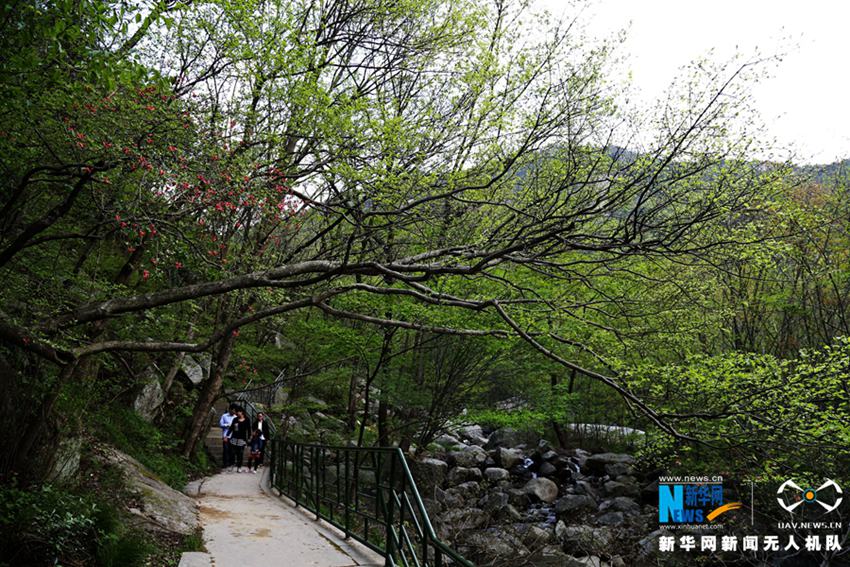 ?? ????? ?1? ????? ????? ???? ??, ??? 1? 7?