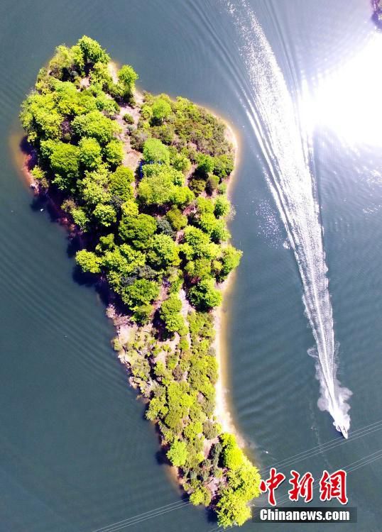 ??? ???? ?? ???, ??? ??? ?? ??