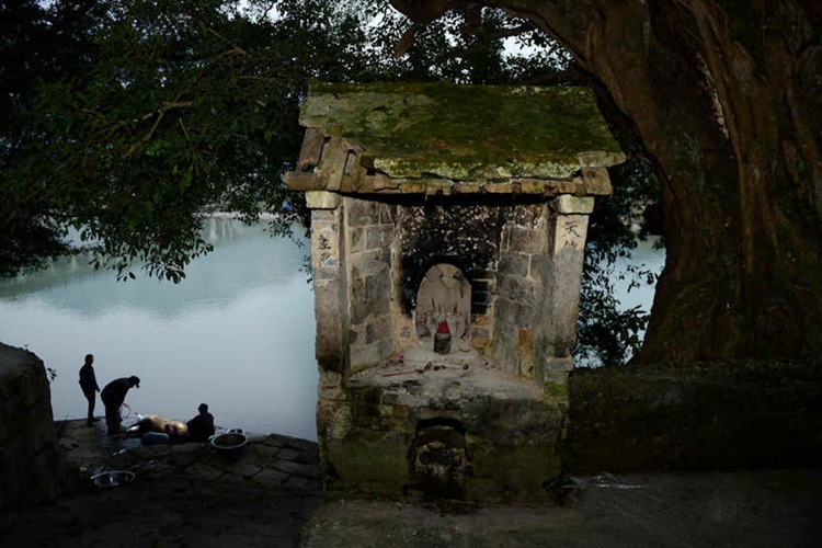 ???? ?? ?? ?? ‘???(薩瑪節(jié))’ ??