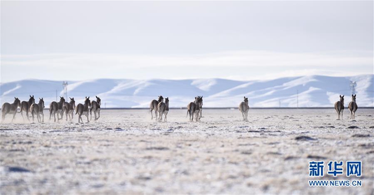 ??? ??? ??? ?? ??? ??, ???? ??? ‘????’