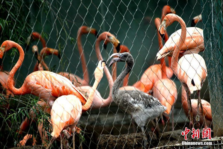 ?? ??? ????? ??? ?? ???? ???? ??