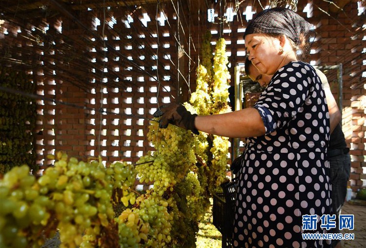 ?? ??? ?? ??? ?? ???? ??