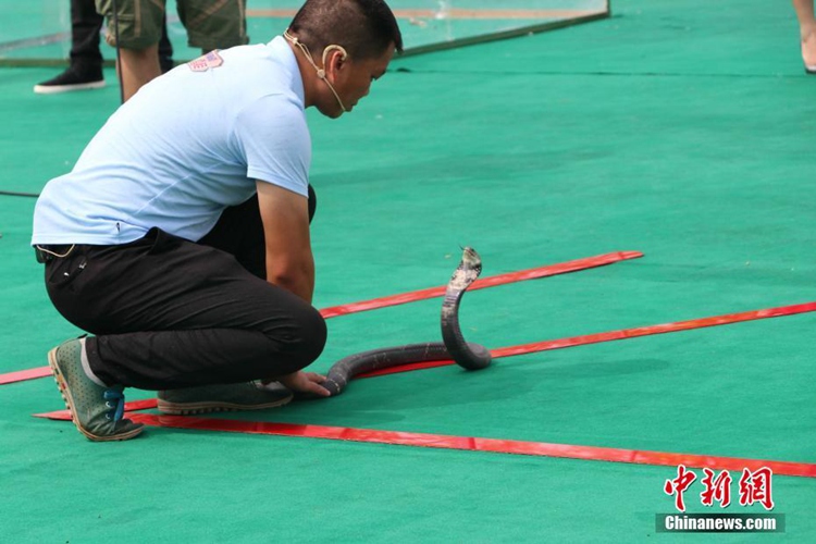 ?? ‘? ?? ??’ ?? ??…??? ‘????’ ??