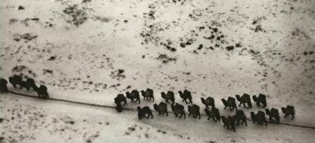 80? ? ??? ???? ??? ??: ??? ??&?? ??? ‘?? ??’