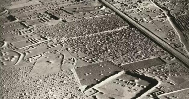 80? ? ??? ???? ??? ??: ??? ??&?? ??? ‘?? ??’