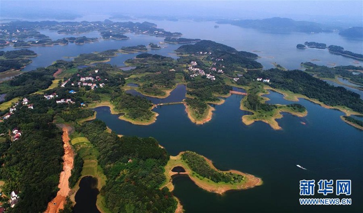 ???? ??, ?? ?? 5A? ??? ‘???’ ??? ??