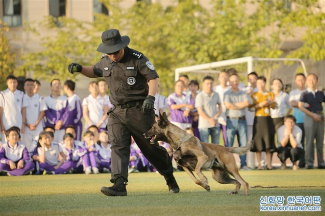 ????, ????? ‘??????’ ??