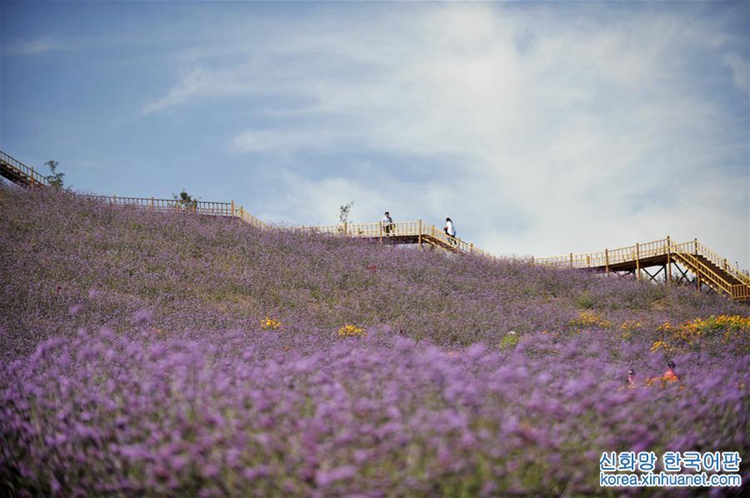 ? ??? ?? ??? ???? ??