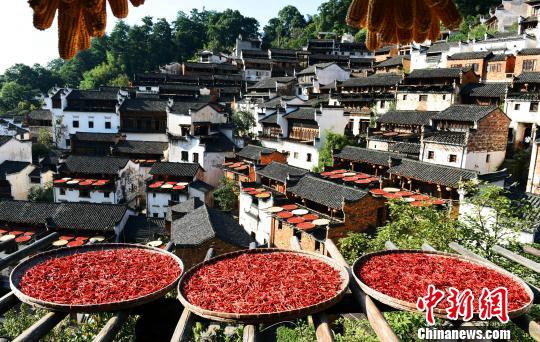 ?? ??? ??? ?? ??…????? ??? ?? ???