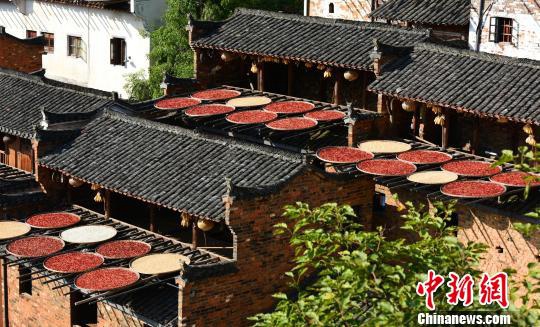 ?? ??? ??? ?? ??…????? ??? ?? ???