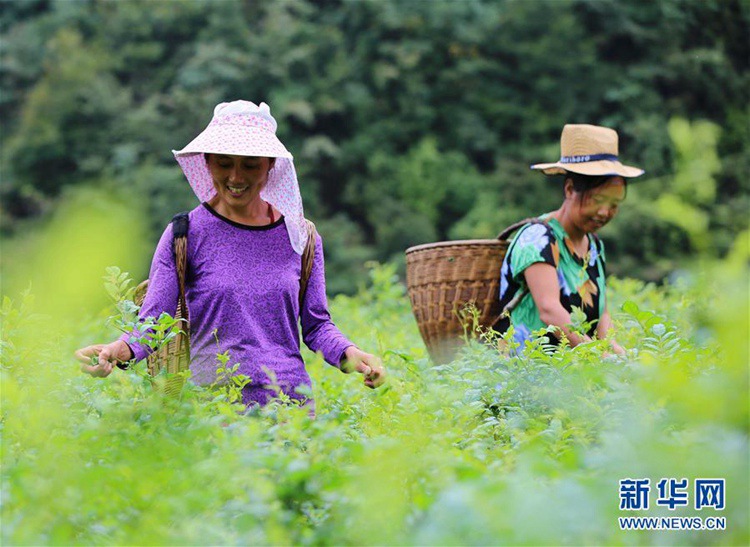 ?? ???, ?? ?? ‘????’ ?? ??