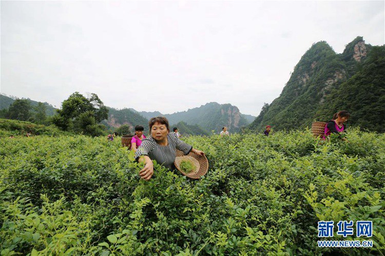 ?? ???, ?? ?? ‘????’ ?? ??