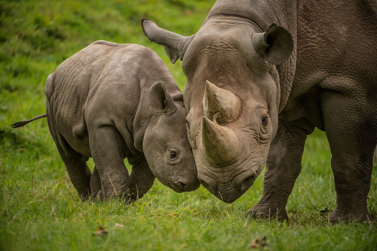 ?? ??? ??? ?? ???? ‘???’, ?? ???