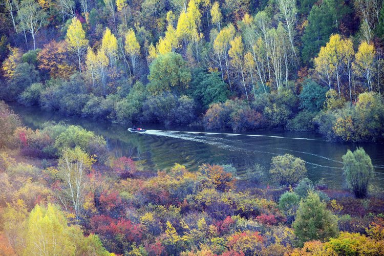 ?? ???? ????? ??? ‘??’