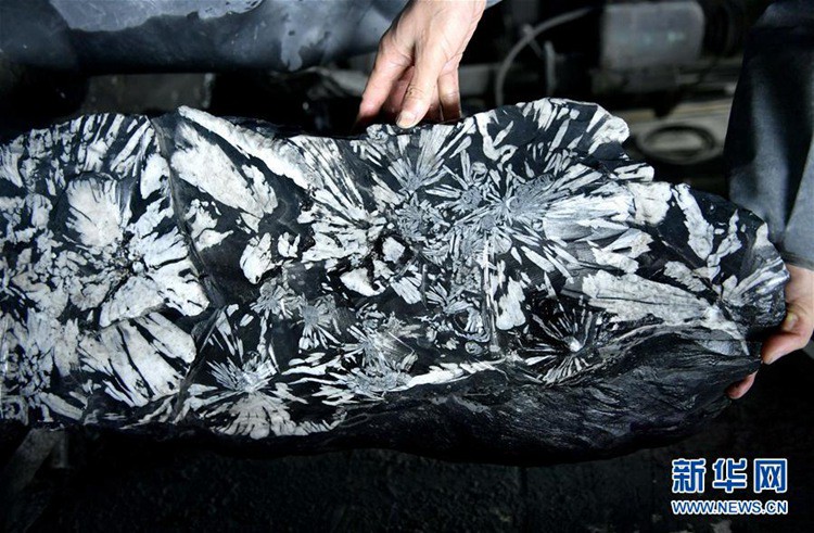 ? ?? ?? ‘?’, ??? ‘???’ ?? ??