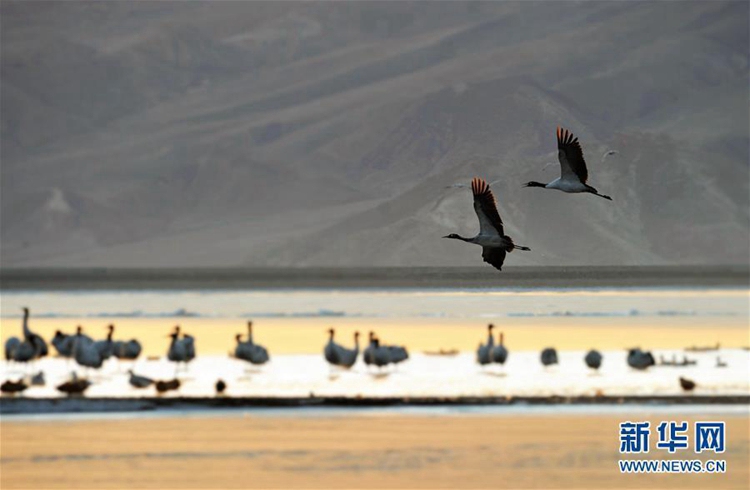 ?? ???? ?? ??? ?? ?????? ??