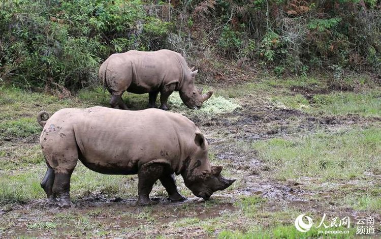 ?? ??? ‘??????’?? ??? ?? ‘????????’