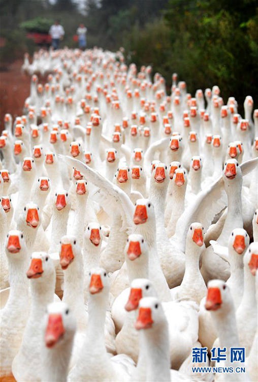 ?? ??? ??? ??? ???? ???