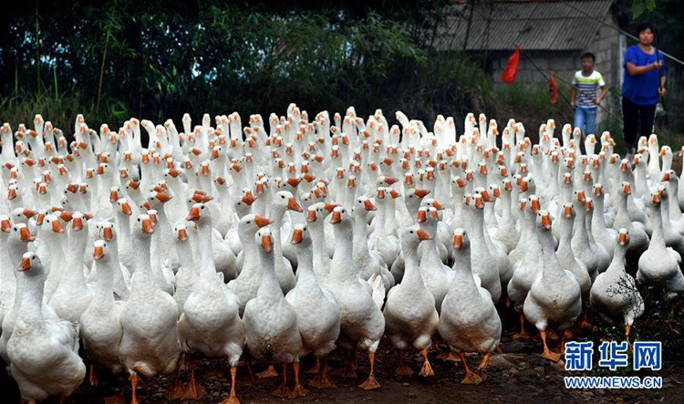 ?? ??? ??? ??? ???? ???