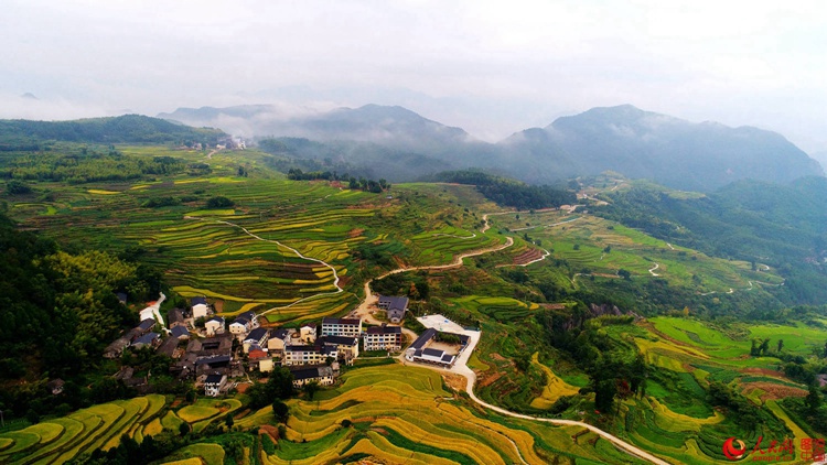 ?X??X??X??? ??? ???, ?? ??? ??