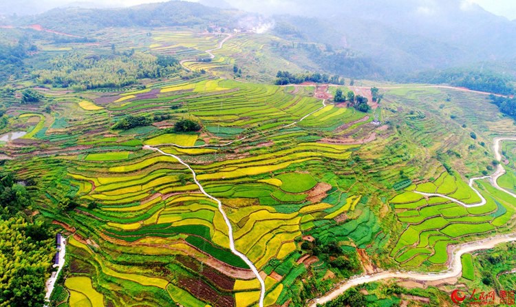 ?X??X??X??? ??? ???, ?? ??? ??