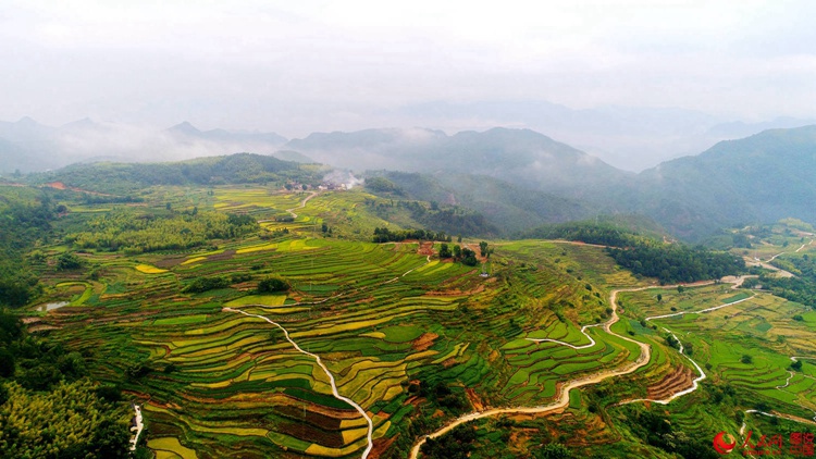 ?X??X??X??? ??? ???, ?? ??? ??