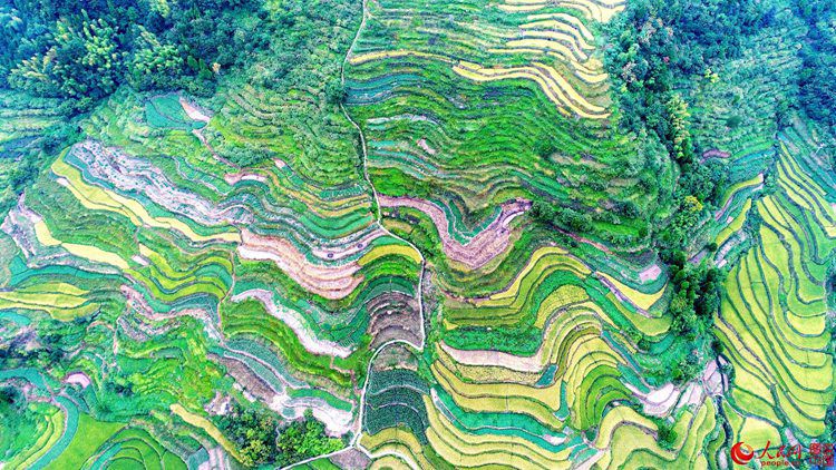 ?X??X??X??? ??? ???, ?? ??? ??