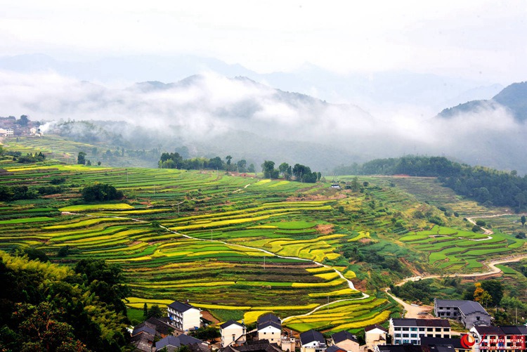 ?X??X??X??? ??? ???, ?? ??? ??