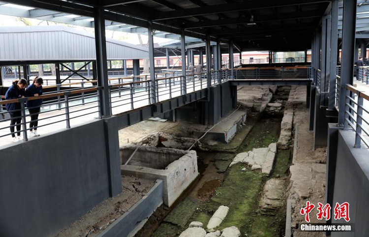 ???? 731?? ??? ???? ??