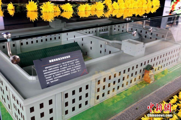 ???? 731?? ??? ???? ??