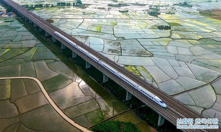 ???? ????? ????? ???? ??