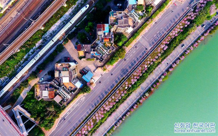 ???? ????? ????? ???? ??