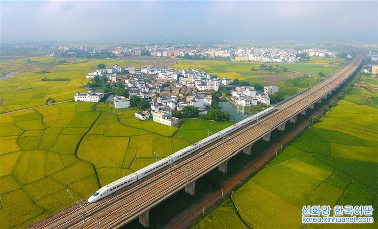 ???? ????? ????? ???? ??