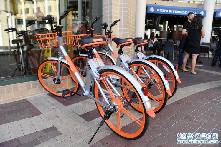 ?? ????? ?? ???? ??…30?? 1??