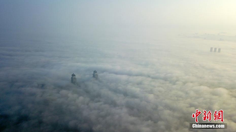 ??? ??? ??? ??? ??, ??? ??? ???? ??