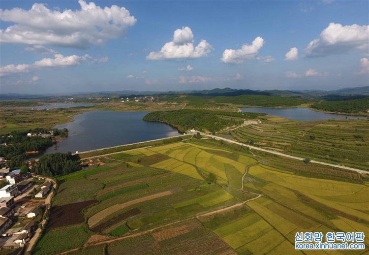 ?? ?? ?? ?? ??, ‘??? ?’