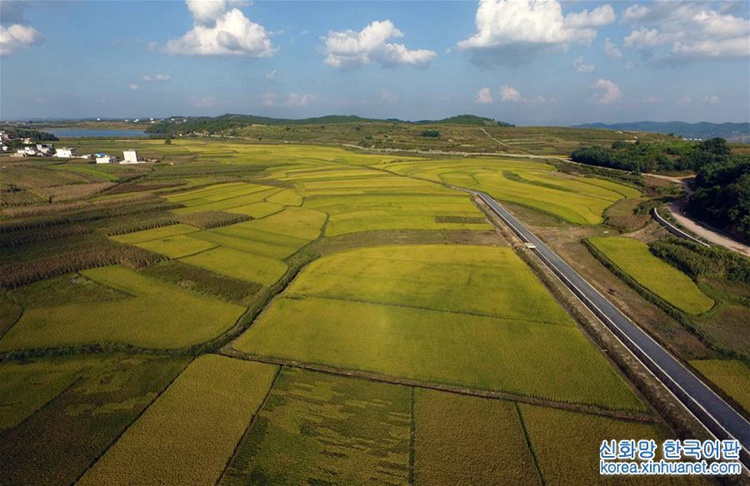 ?? ?? ?? ?? ??, ‘??? ?’