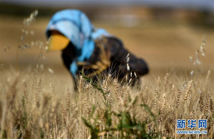 ?? ??? ??? ?? ???? ?? ??