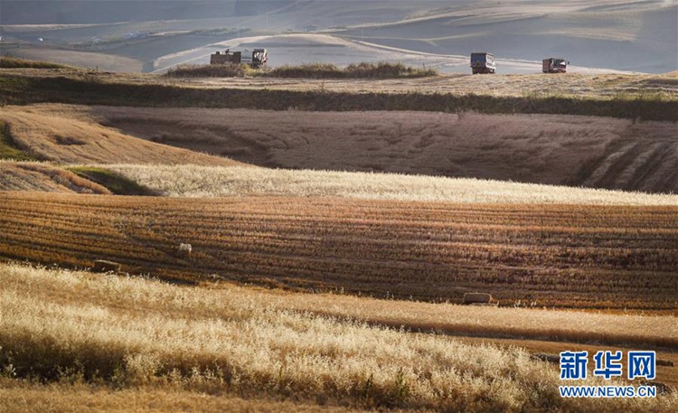 ?? ??? ??? ?? ???? ?? ??