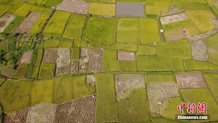 ?? ?? ???: ??? ?? ??? ?