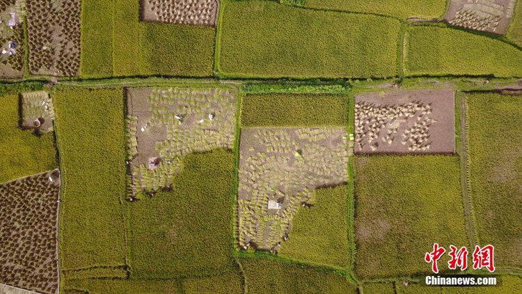 ?? ?? ???: ??? ?? ??? ?