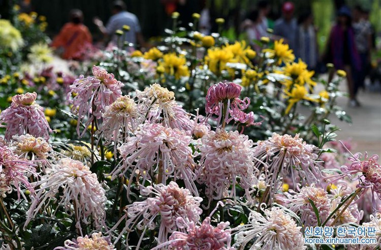 ?? ??? ??? ??? ? ??? ??, ???? ??? ??? ‘??’