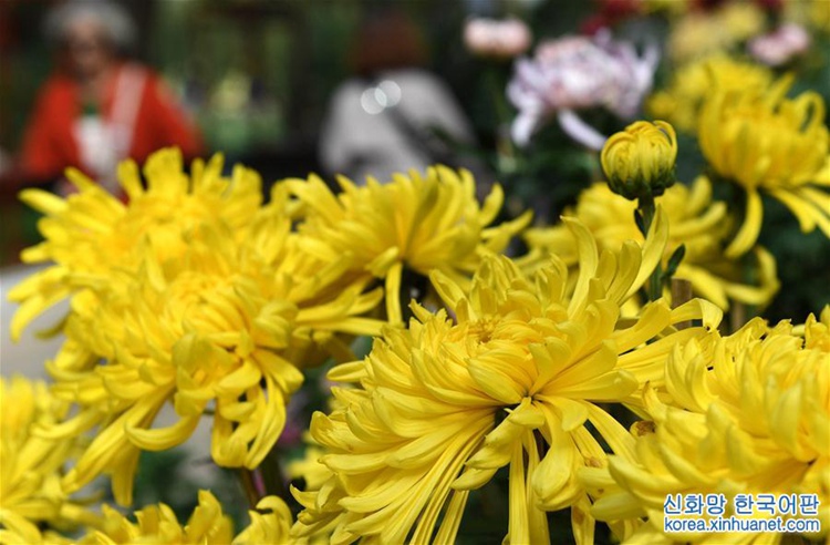 ?? ??? ??? ??? ? ??? ??, ???? ??? ??? ‘??’