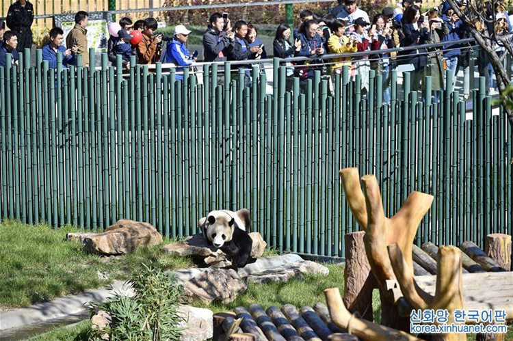 ?? ?? ????? ??? ??, ??? ?? 4?? ????? ‘??’