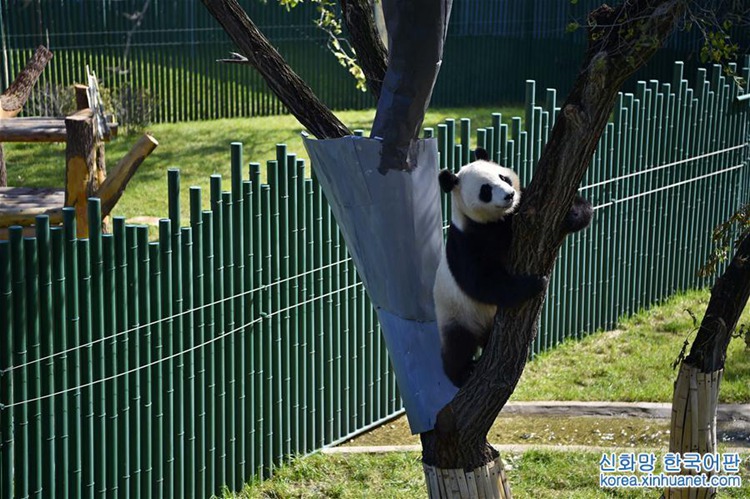 ?? ?? ????? ??? ??, ??? ?? 4?? ????? ‘??’