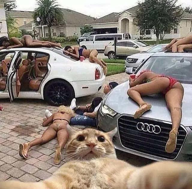 ??? 甲…SNS ?? ?? ??! ??? ??? ???? ???