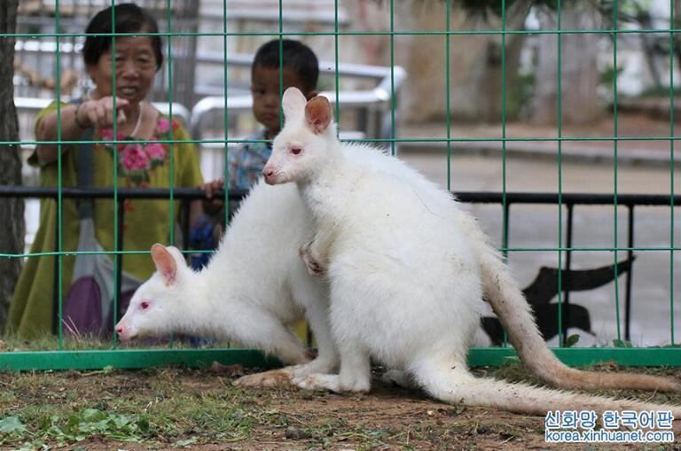 ????? ? ???, ?? ??????? ?? ??